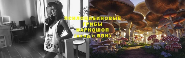 хмурый Медногорск