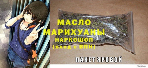 хмурый Медногорск