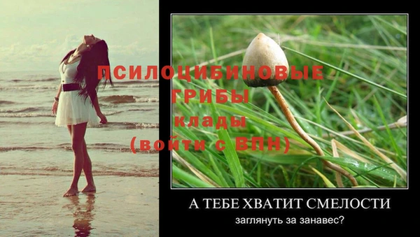 Альфа ПВП Мегион