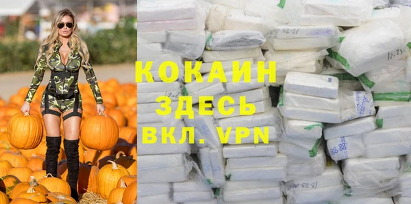 Альфа ПВП Мегион