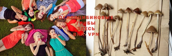соль курить ск Магас