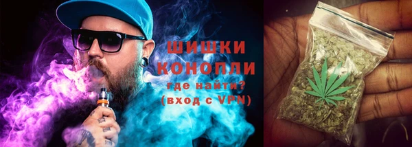 Альфа ПВП Мегион