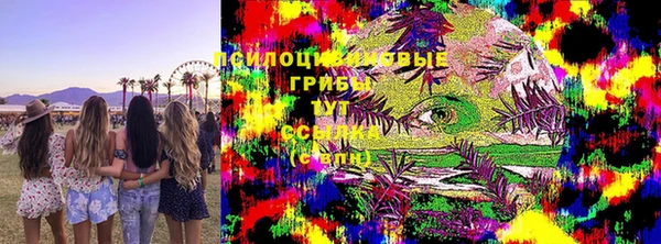 тгк Майский