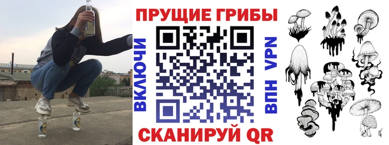 Псилоцибиновые грибы Psilocybe  MEGA онион  Нелидово 