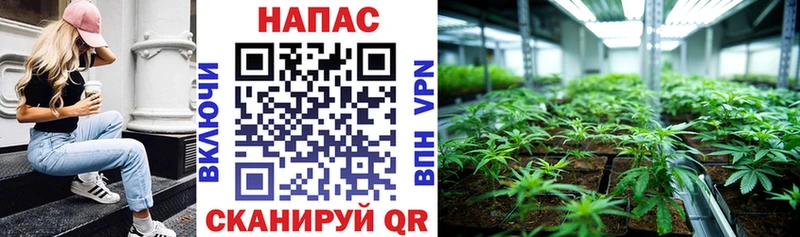 Бошки Шишки конопля  Нелидово 